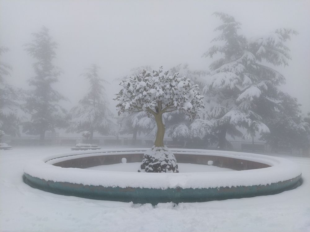 Photograph by Goga Mamulashvil