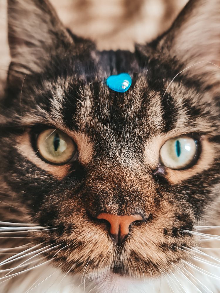 Photograph by Екатерина Фурсова