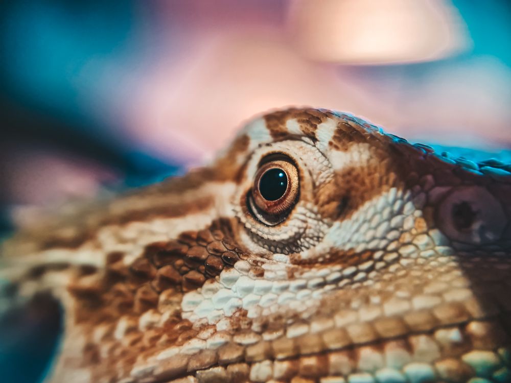 Photograph by Екатерина Фурсова