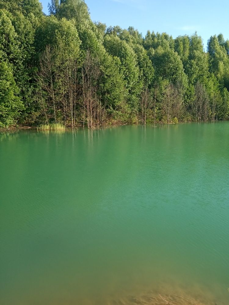 Photograph by Александр Чечёткин