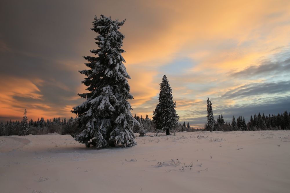 Фотография автора Юрий Кетель