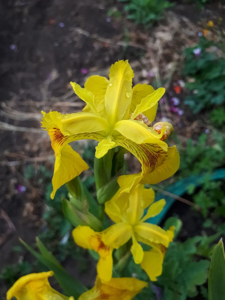 Photograph by Кадырова Анастасия