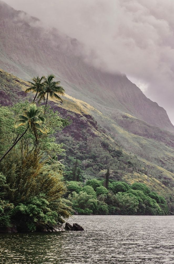 Photograph by Athena Le Chelard