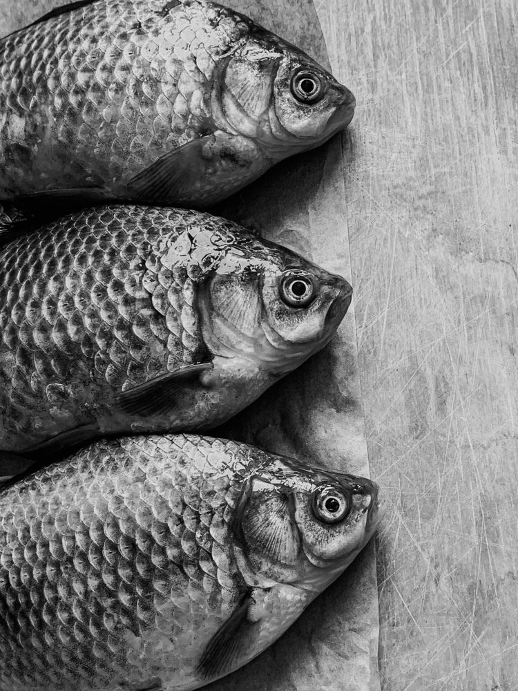 Photograph by Anastasia Malysh