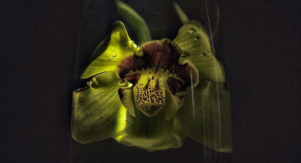 Photograph by Максимова Вика