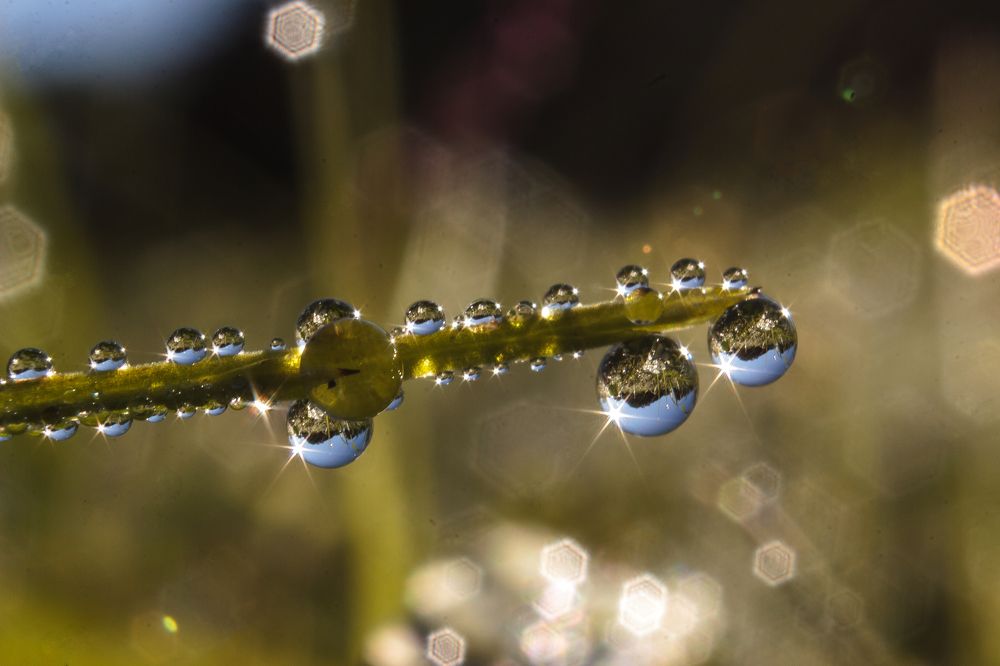 Photograph by Sergey Tsubanov