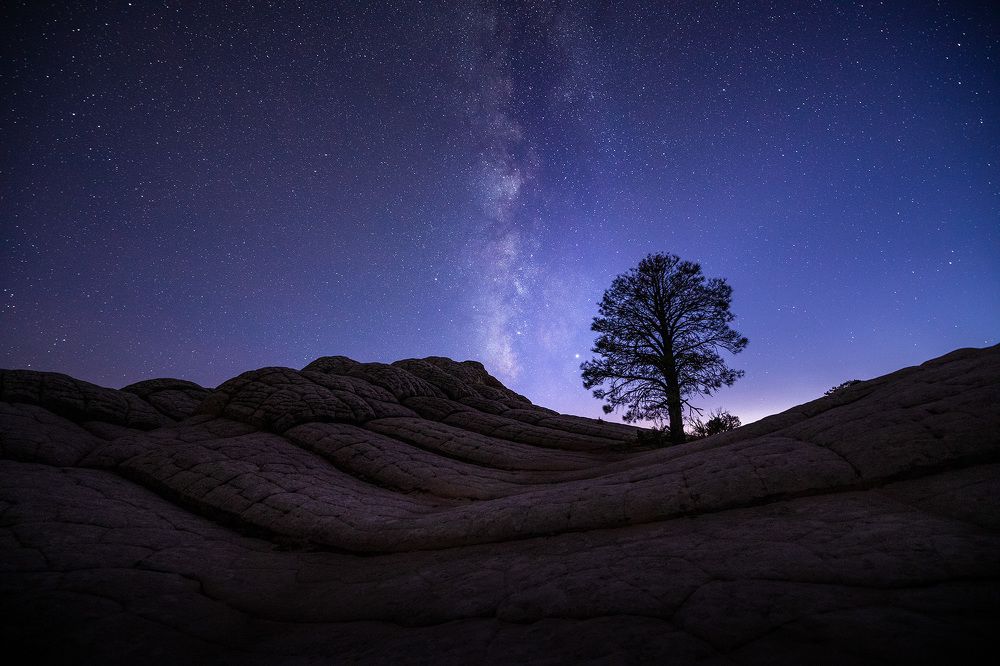 Photograph by Lana Anferow