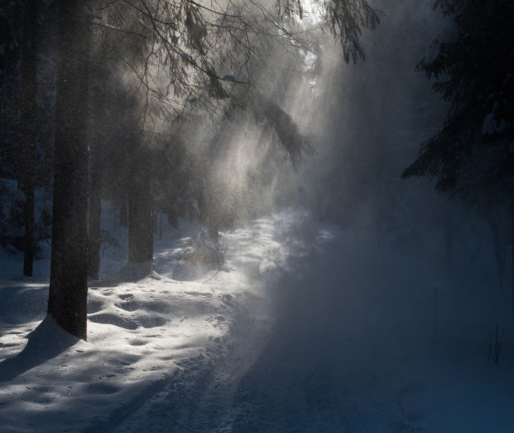 Photograph by Анна Углова