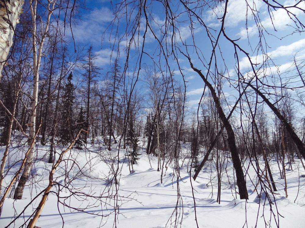 Photograph by Арина Стрябчева