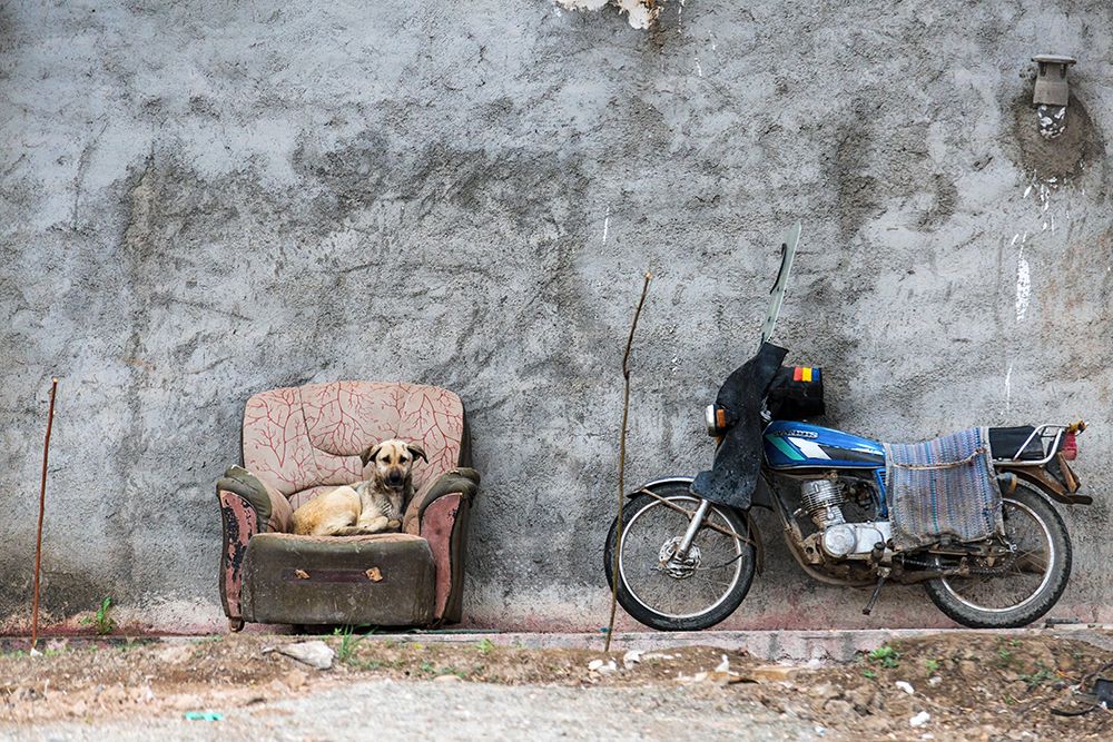 Фотография автора Iman Samady