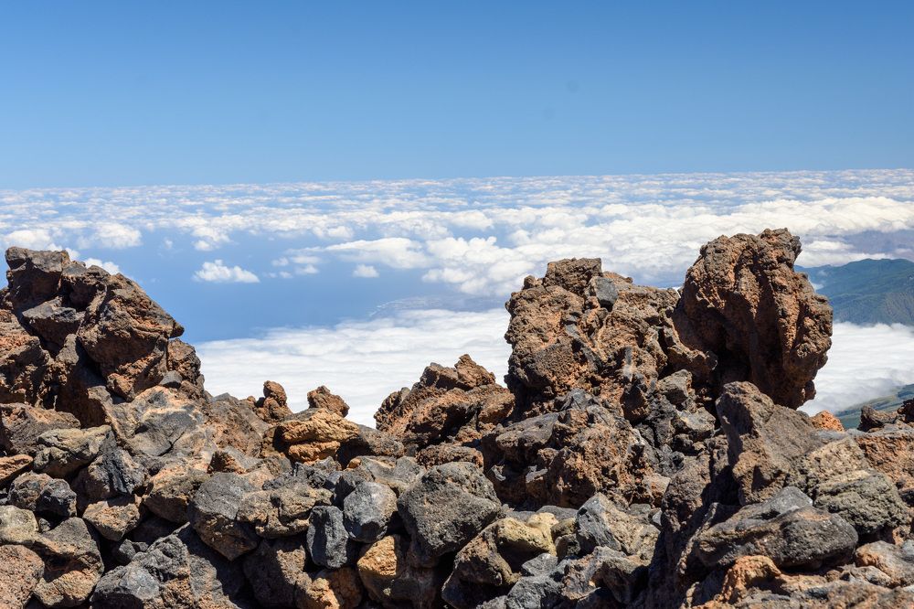 Photograph by Raisa Belova