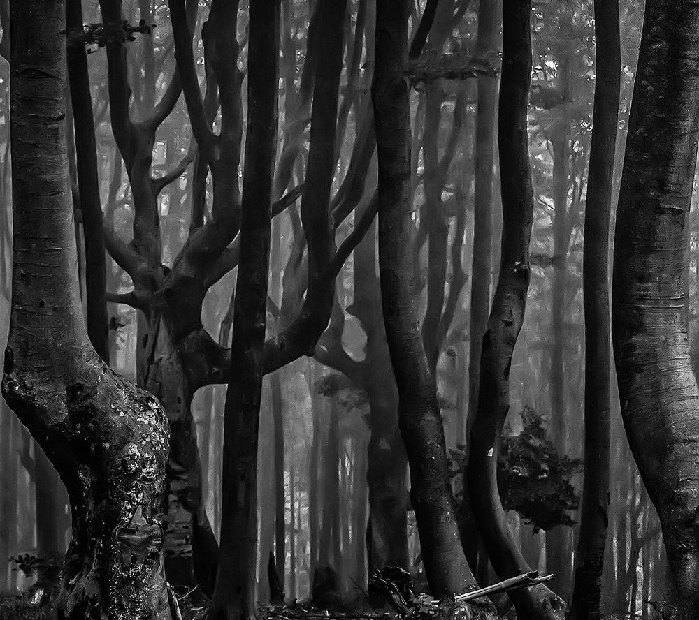 Photograph by Konstantin Zaykov