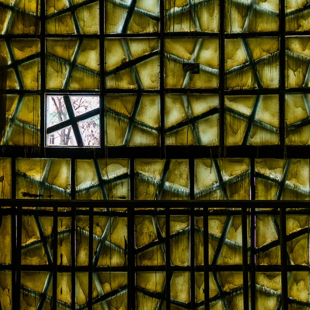 Photograph by Svetlana Krupskaya