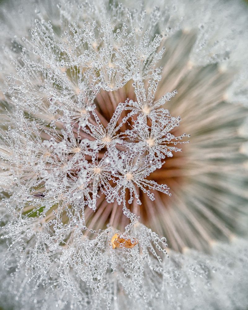 Туманным утром