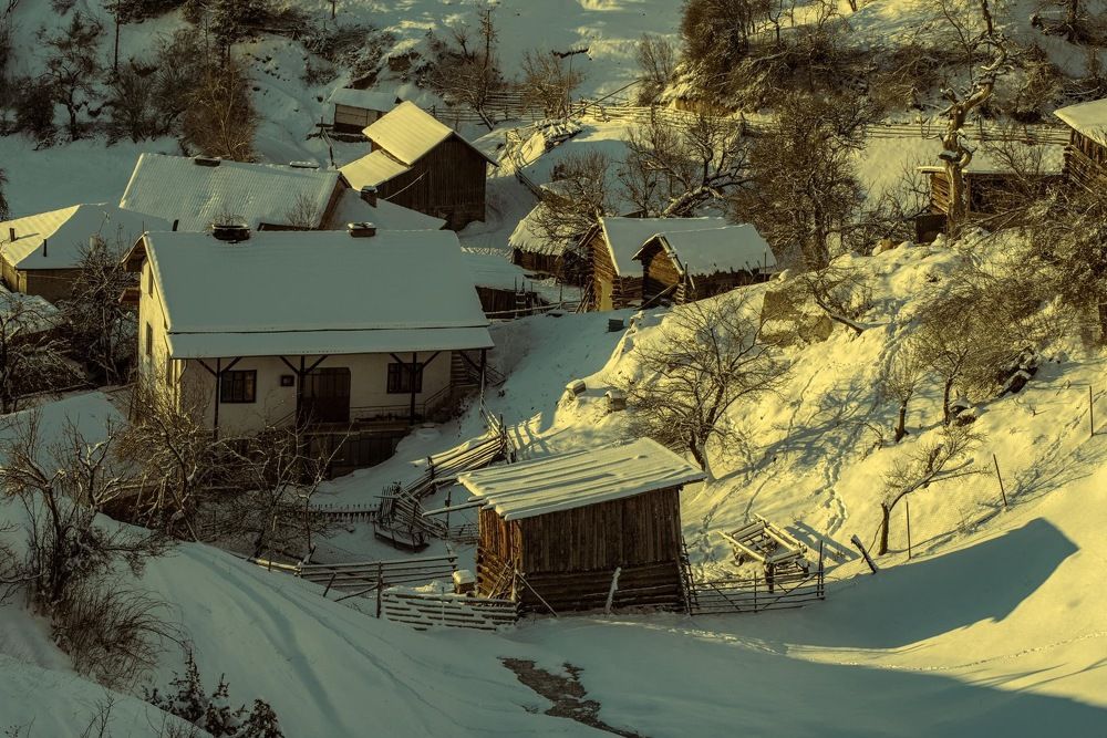 Photograph by Димитър Митрев