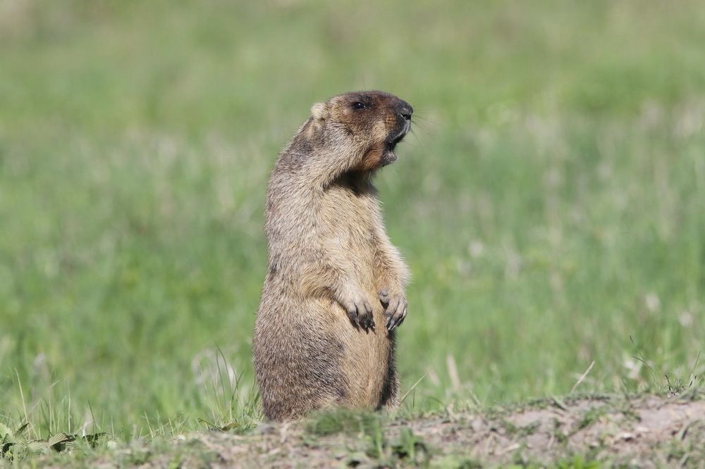 Photograph by Евгений Софронов