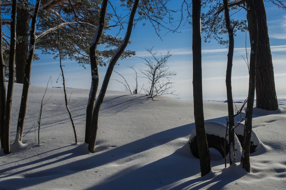 Photograph by Анна Углова