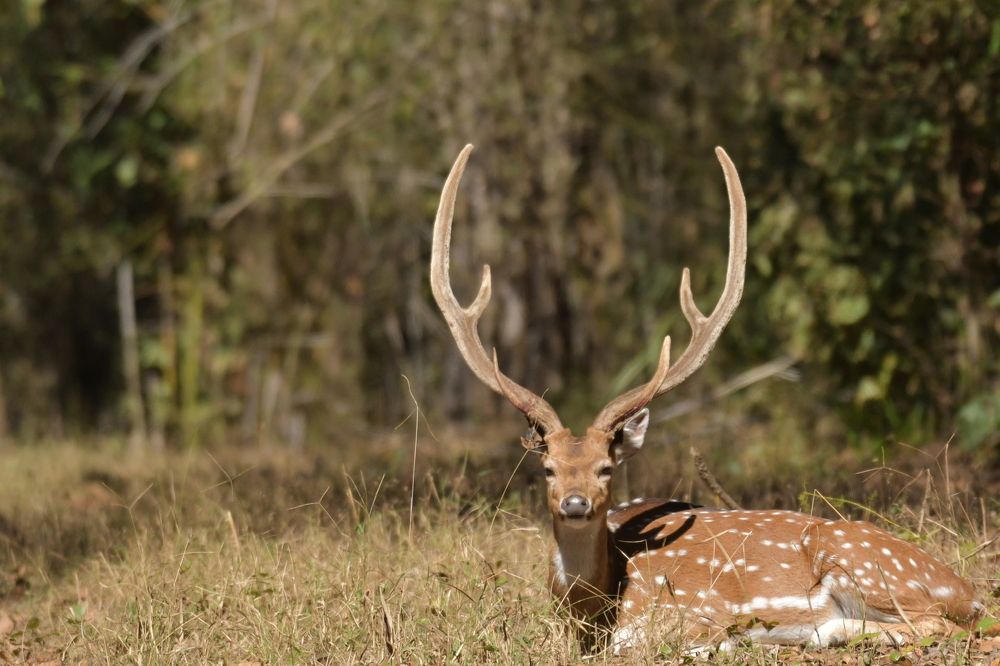 Photograph by Preet saluja