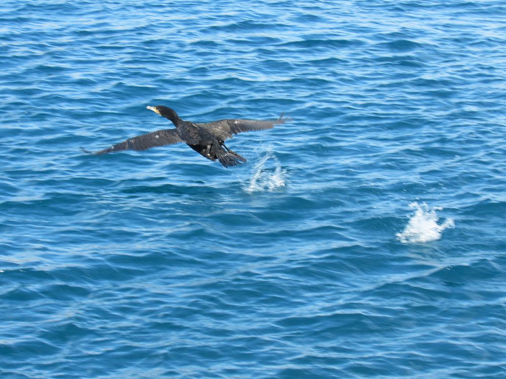 Фотография автора John Tsaklanos