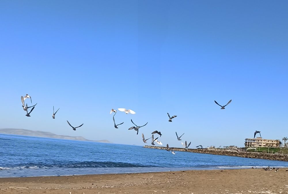 Photograph by Georgios Karathanasis