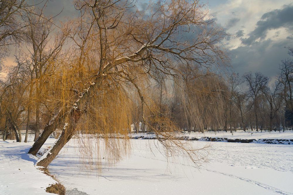 Фотография автора Igor Kovalenko