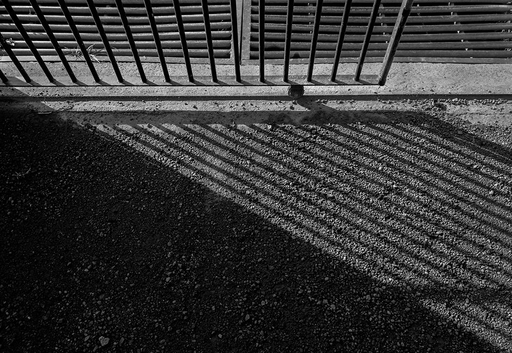 Photograph by Thushan Kariyawasam