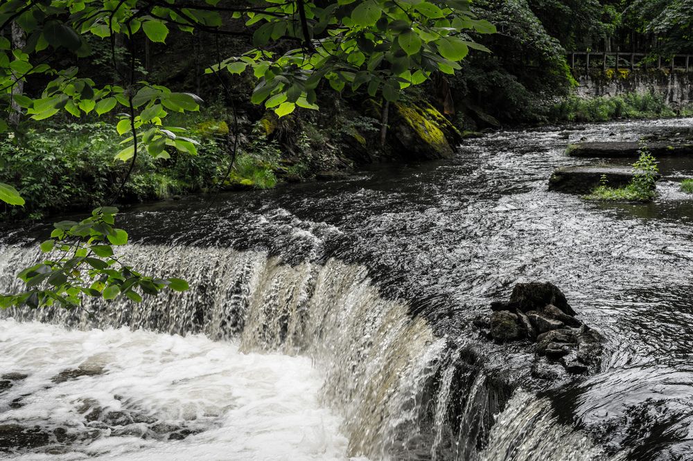 Photograph by István Lakatos