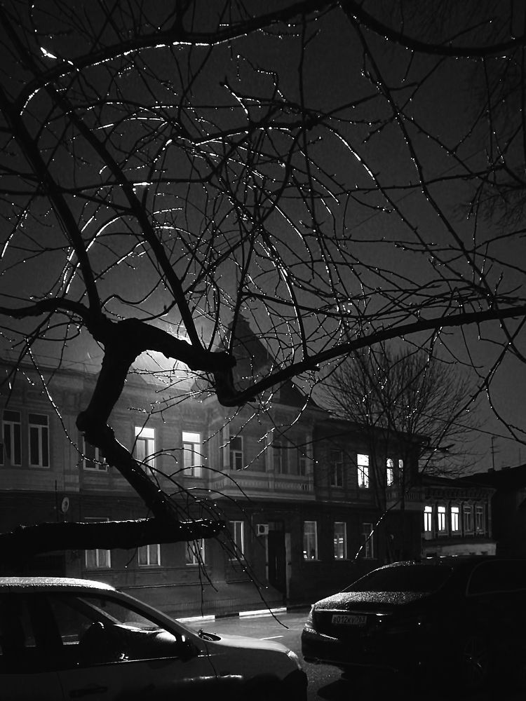 Photograph by Ирина Корпачева