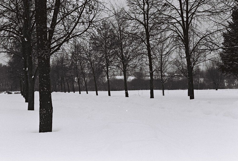 Photograph by Антон Гапоненко