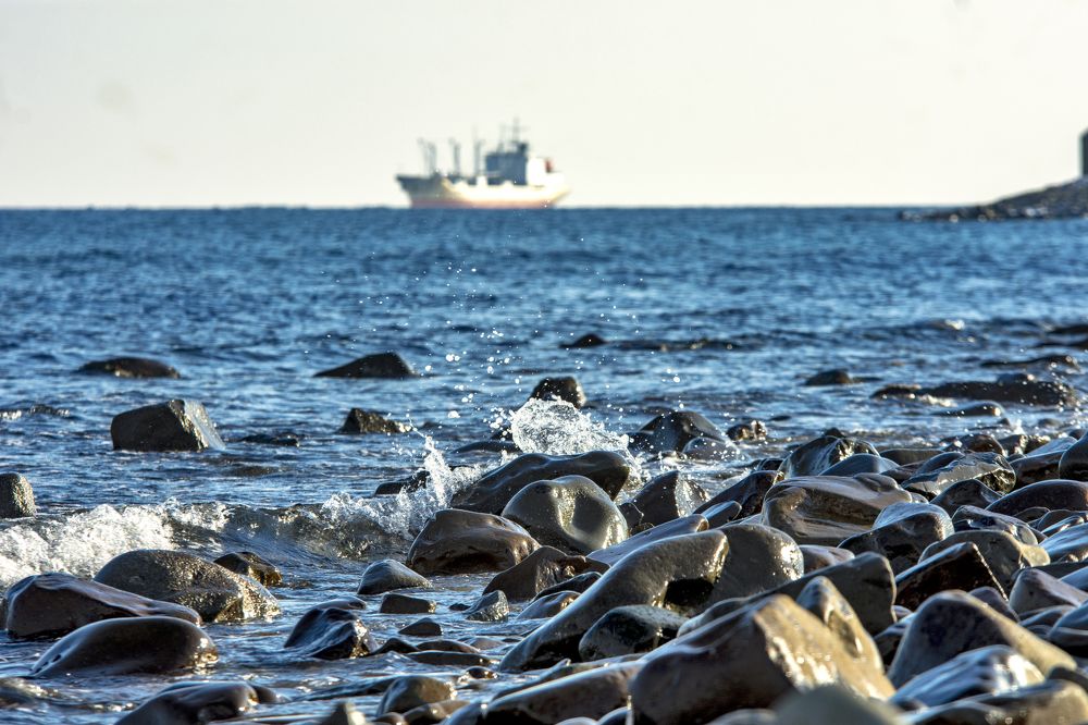 Берег японского моря