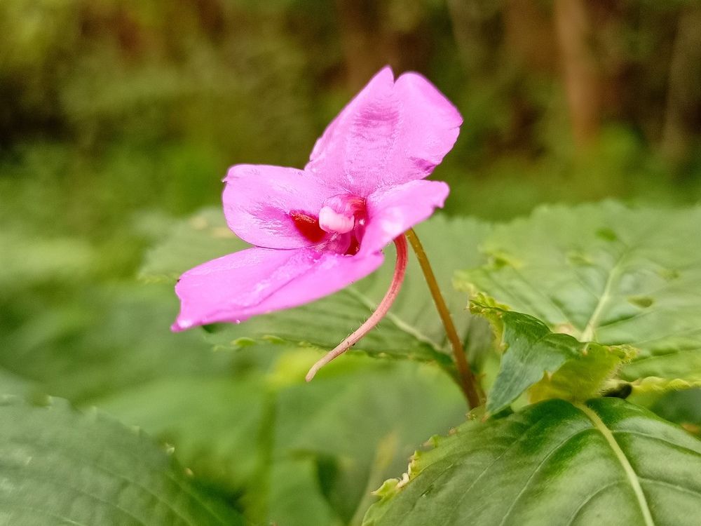 Photograph by Andrew Kyando