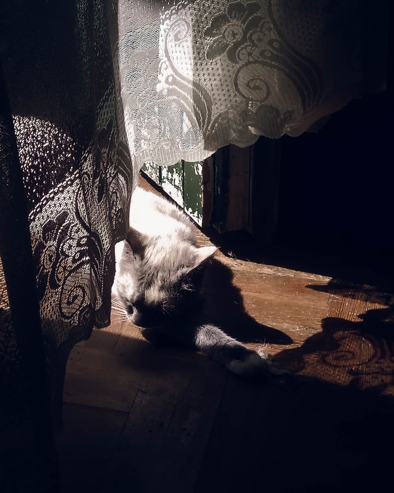 Photograph by Татьяна Носкович