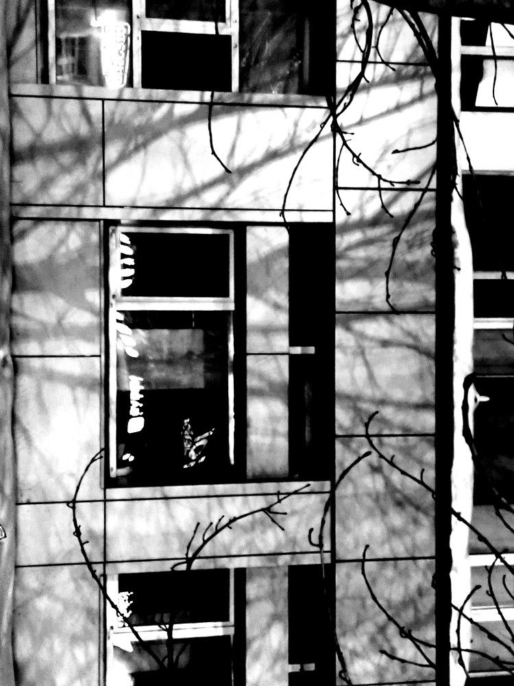 Photograph by Karina Yakovleva