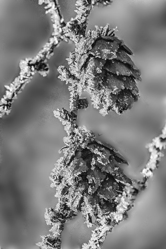 Photograph by Сергей Черных