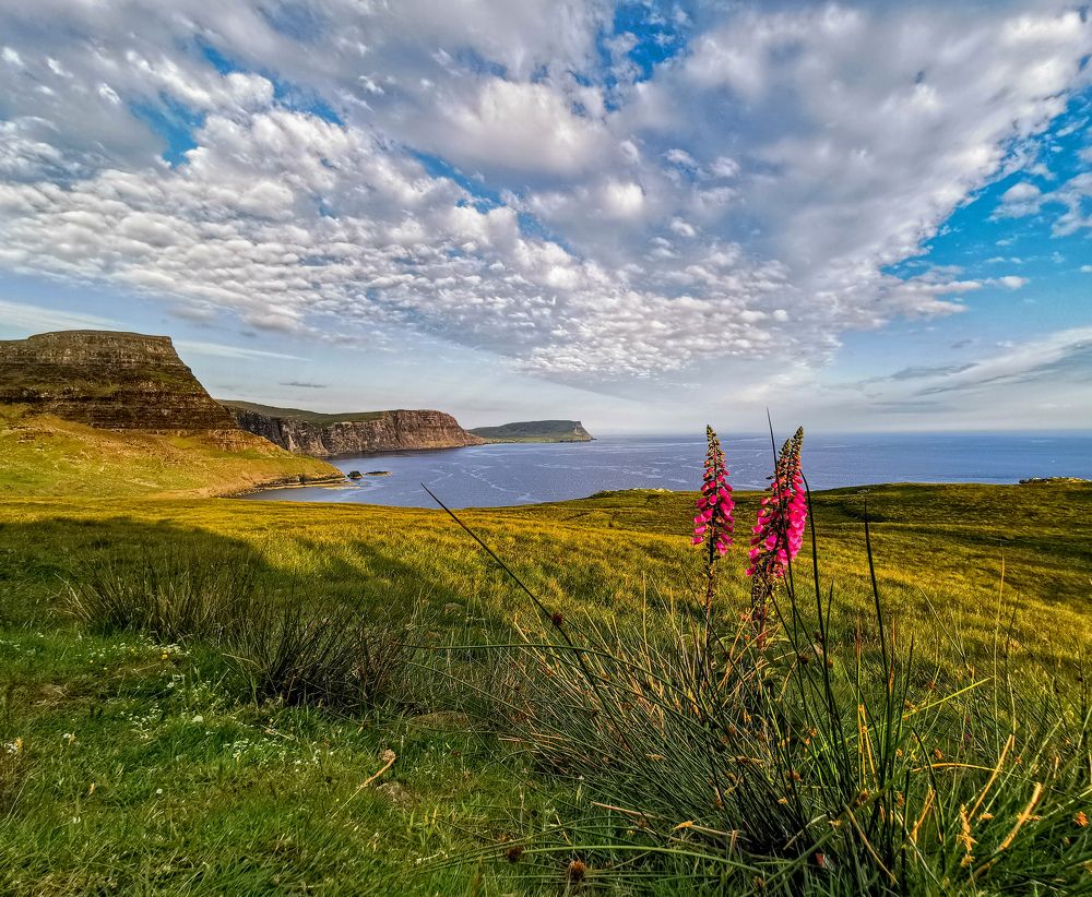 Photograph by Natalya  Podymahina