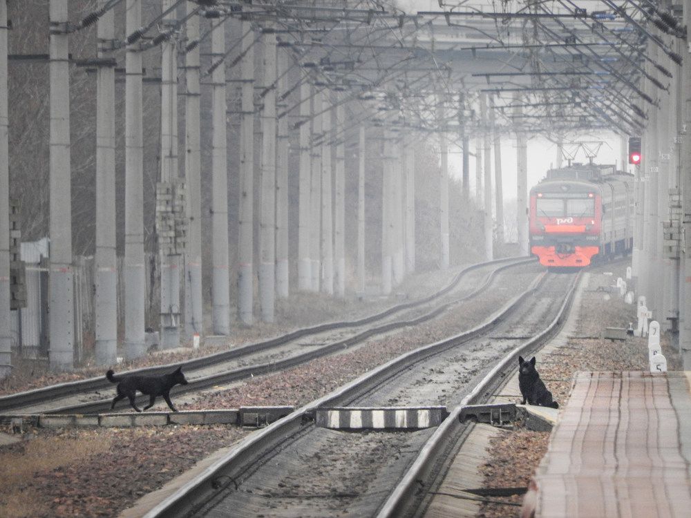 Photograph by Andrey Matveenko