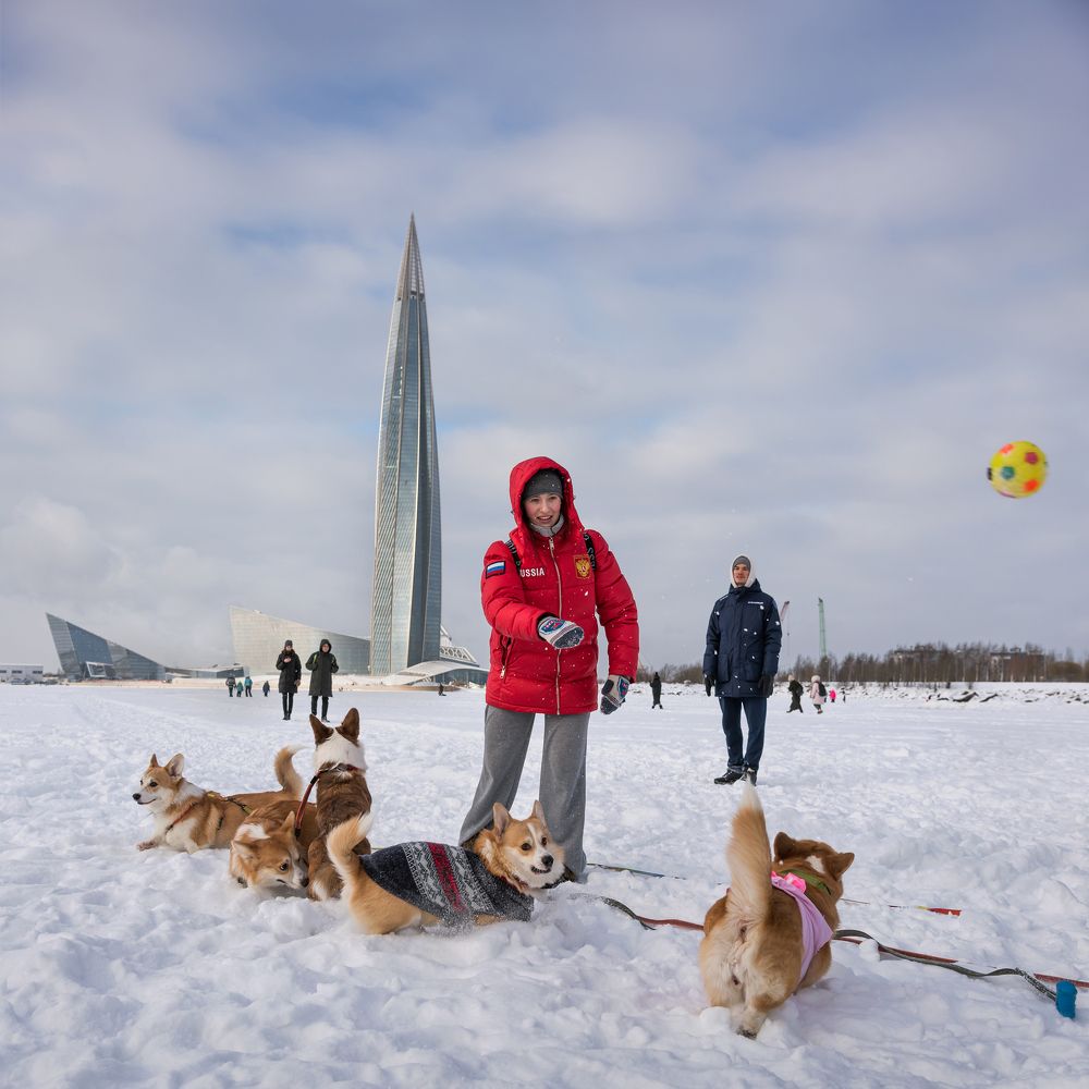 Фотография автора Александр Рощин