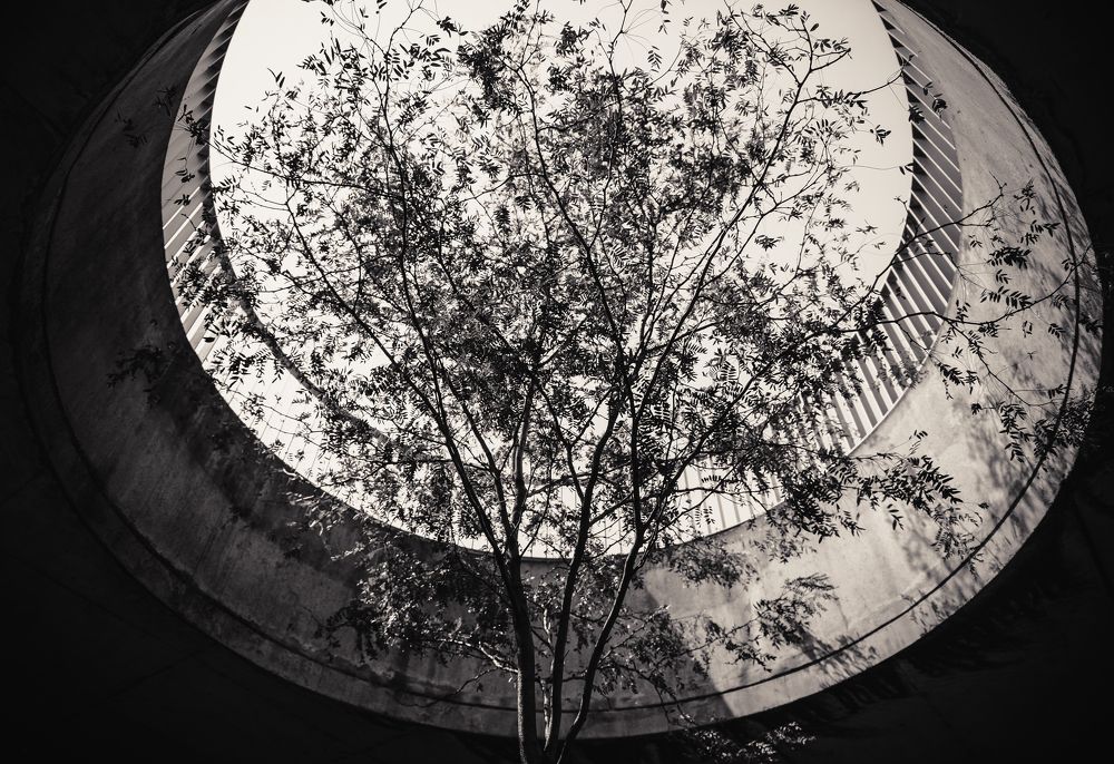 Photograph by Константин Кован