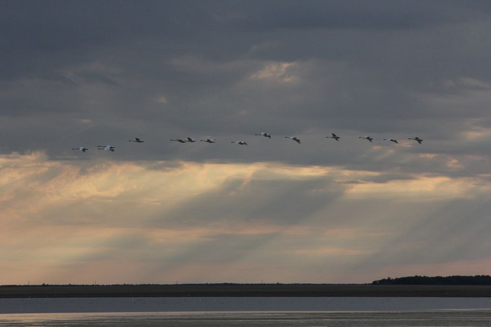 Photograph by Вадим Мазняк