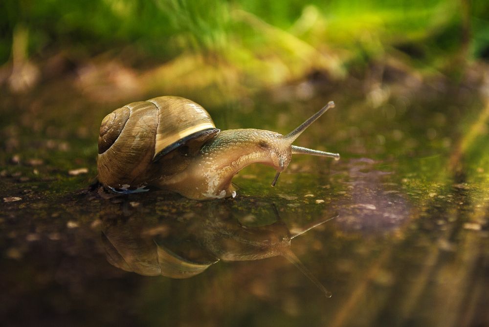 Photograph by Nataliia Dowgan