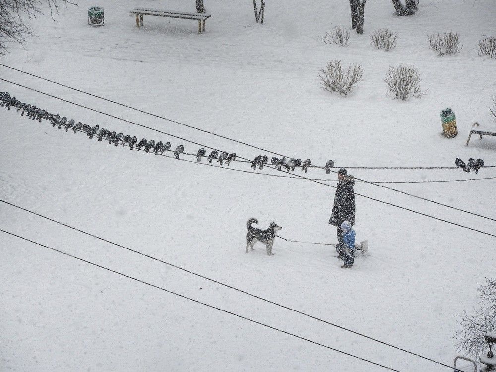 Photograph by Andrey Matveenko