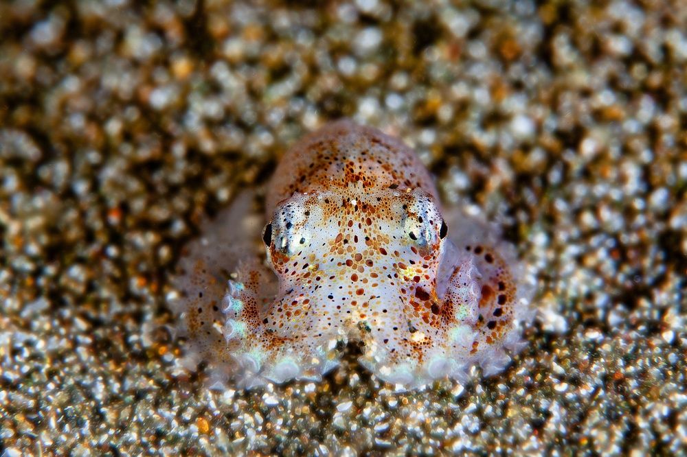 Фотография автора Нарчук Андрей