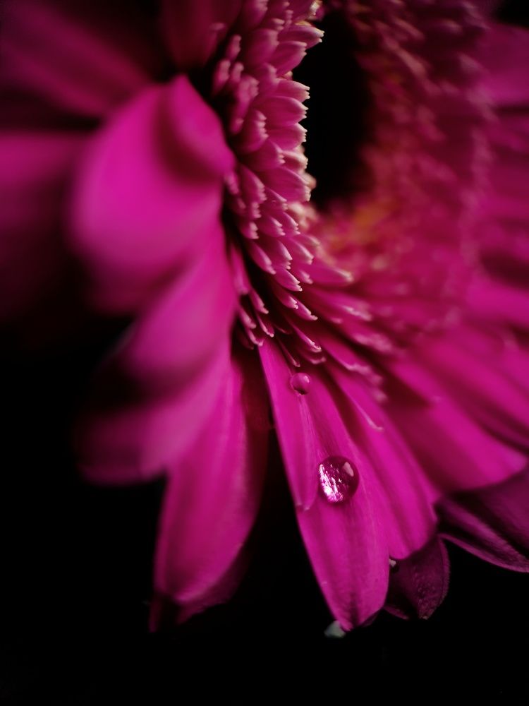 Photograph by Светлана Смирнова