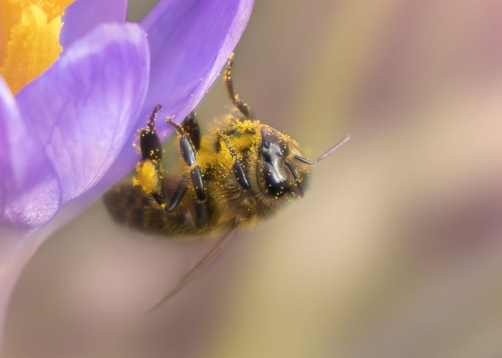 Photograph by Menaga Ravi