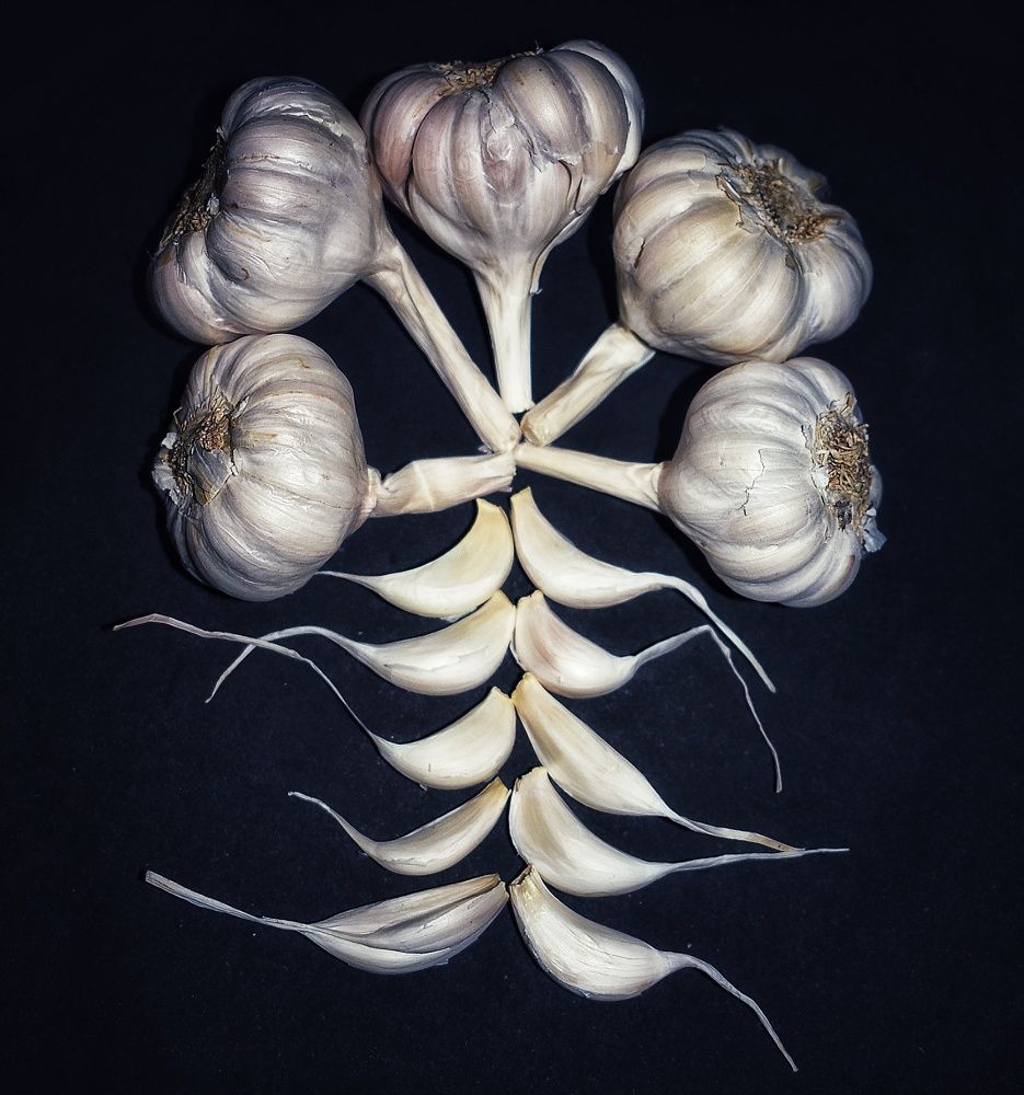 Photograph by Bhanupriya Marke