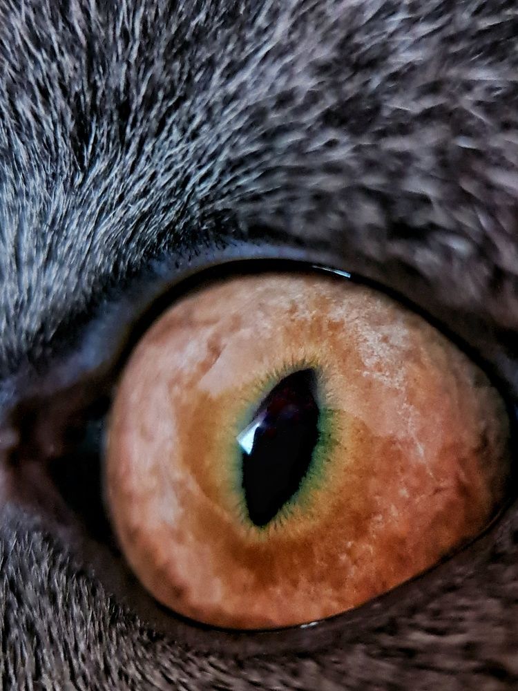 Photograph by Светлана Смирнова