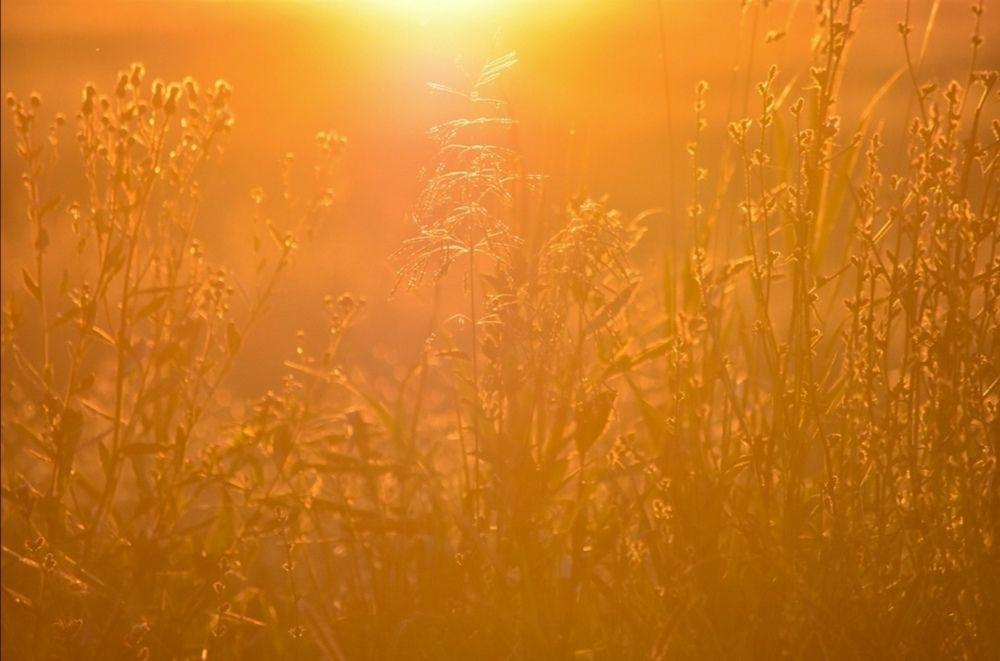 Photograph by Анна Муковозова