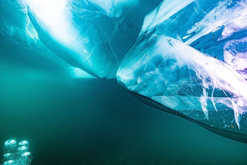 Photograph by Дмитрий Плотников