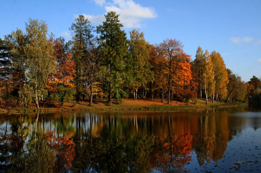 Photograph by Юрий Чистяков