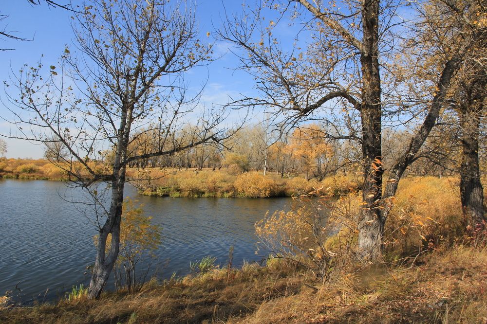 Photograph by Вадим Мазняк